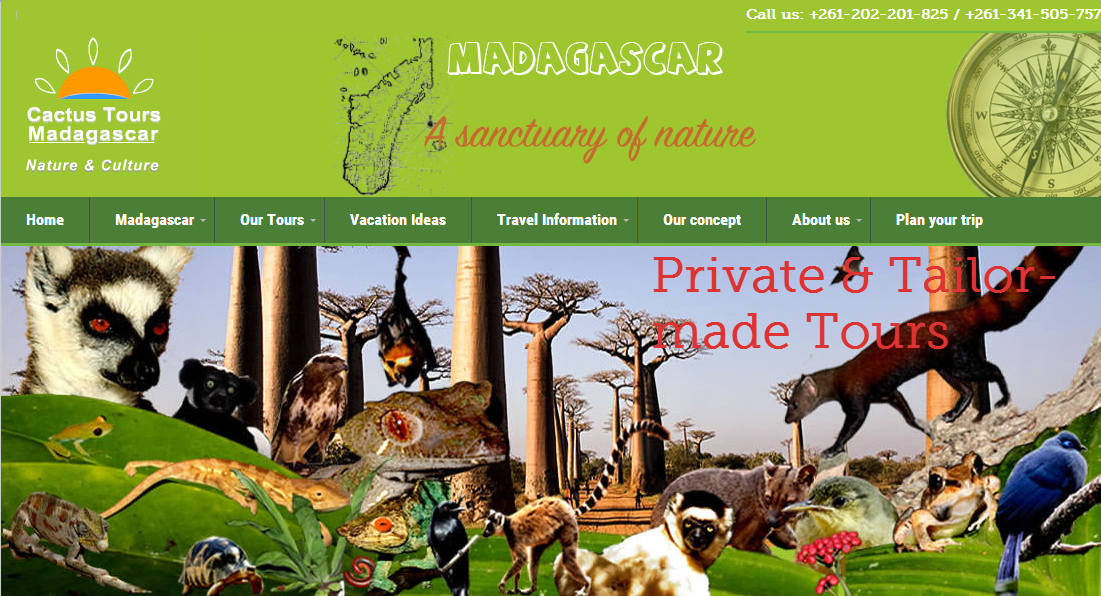马达加斯加仙人掌旅行社官网